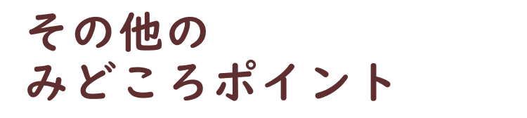 共通その他のみどころ