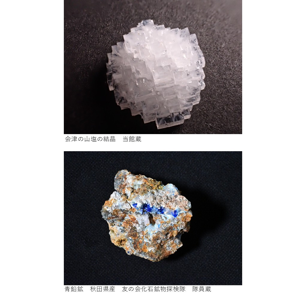化石・鉱物探検隊ミニ成果展画像配置