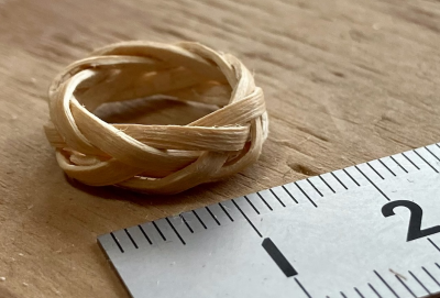 マタタビの枝からリングを作ろう！